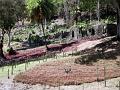 2003-04 martinique 152